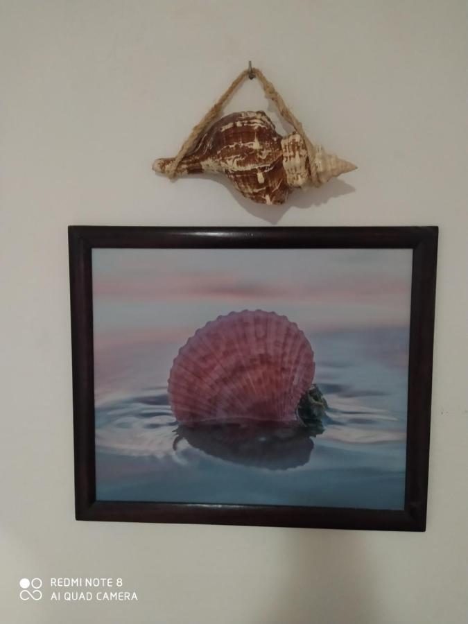 Casa Ohana-Disfruta Del Paraiso Isla Holbox Екстериор снимка