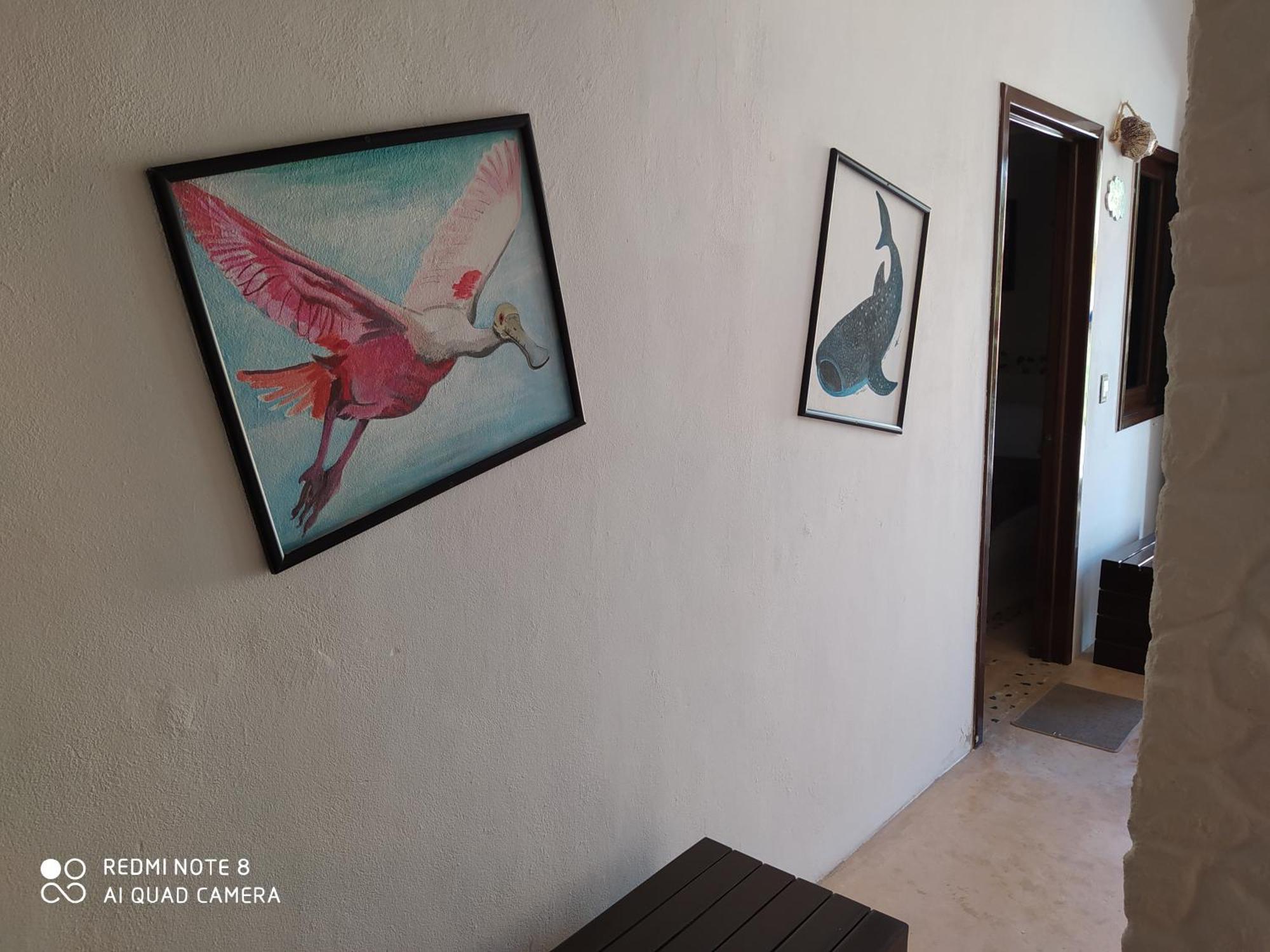 Casa Ohana-Disfruta Del Paraiso Isla Holbox Стая снимка